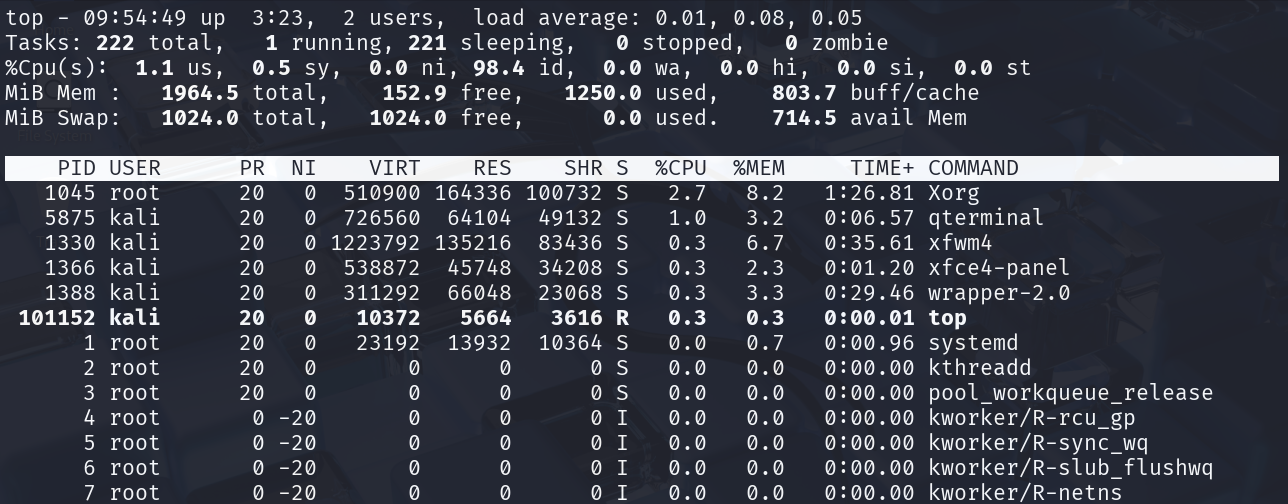 image-20250528215504447