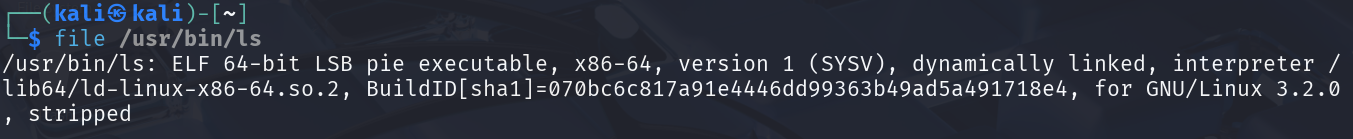 image-20250527215020253