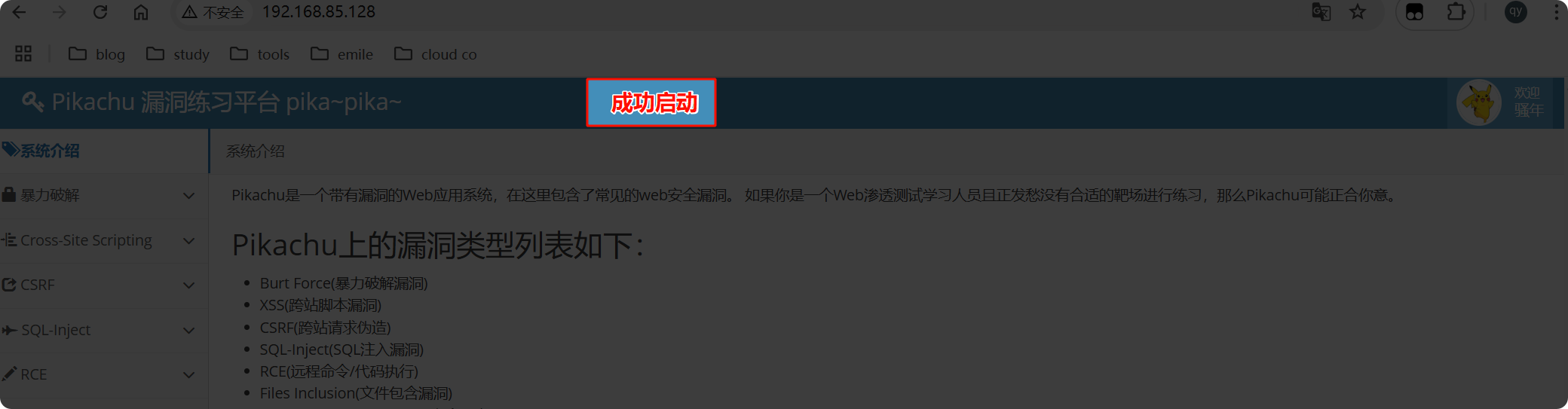 image-20250610192833782
